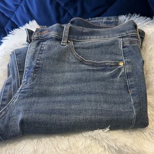 Express Indigo Skinny Jeans